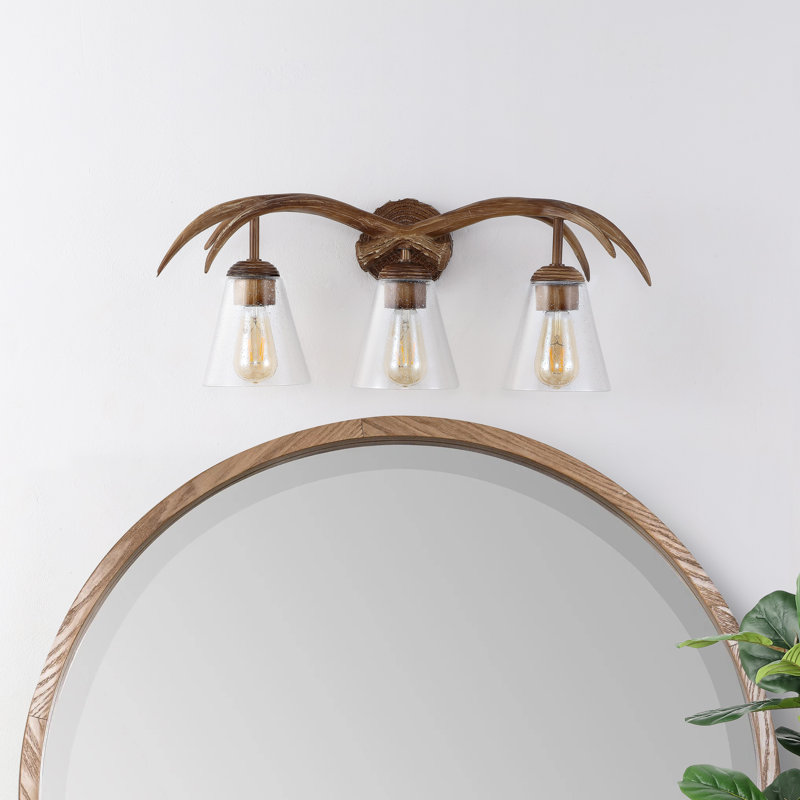  Asim Southwestern Bohemian Resin/Seeded Glass Faux Antler LED Vanity Light