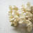  Bundle of 24 Bleached Bullet Flowers on Stems – 29"H