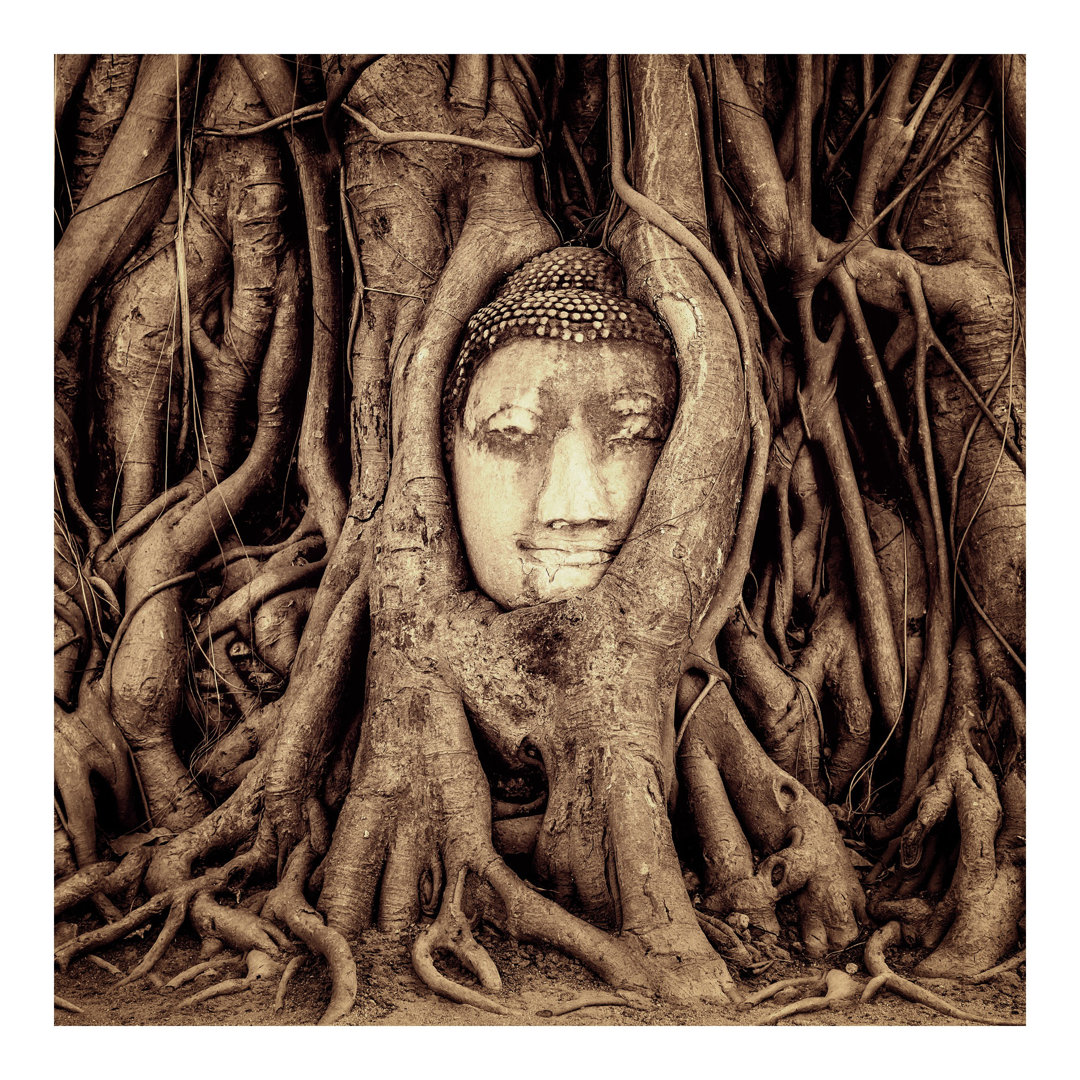 Buddha in Ayutthaya Surrounded by Tree Roots 1.92m x 1.92m Textured Matt Peel & Stick Wall Mural