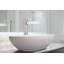 Paradox™ Single Handle Tall Lavatory Faucet-1215763214
