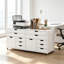 77 cm W 5 -Drawer Wheels / Casters included Mobile Filing Cabinet
