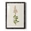 Mauve Garden Flowers II - peinture encadrée-1286153091-1286153089