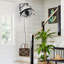 Ventilateur mural 23 "Latresha Fansconce