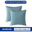Ensemble de 2 coussins décoratifs printaniers pour canapé-lit-112028082