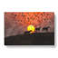 Birds And Horses At Sunset - Wrapped Canvas-61847659