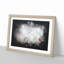 Red Cardinal Bird Paint Splash - Picture Frame Graphic Art-56866026-56866028