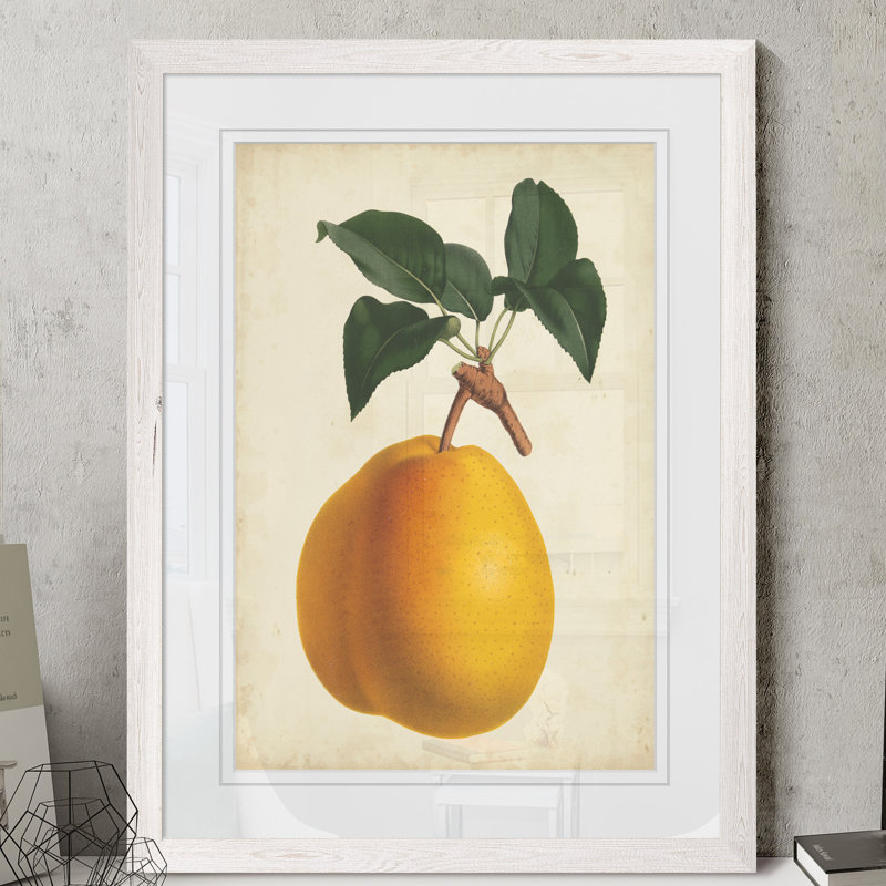 « antique poirier botanique ii » par paul cezanne-cadre photo, reproduction d’art, H 22 po x l 30 po x P 1 po