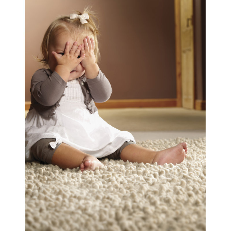 Hardin Solid Colour Wool Hand Woven Area Rug, Rectangle 160 x 230cm