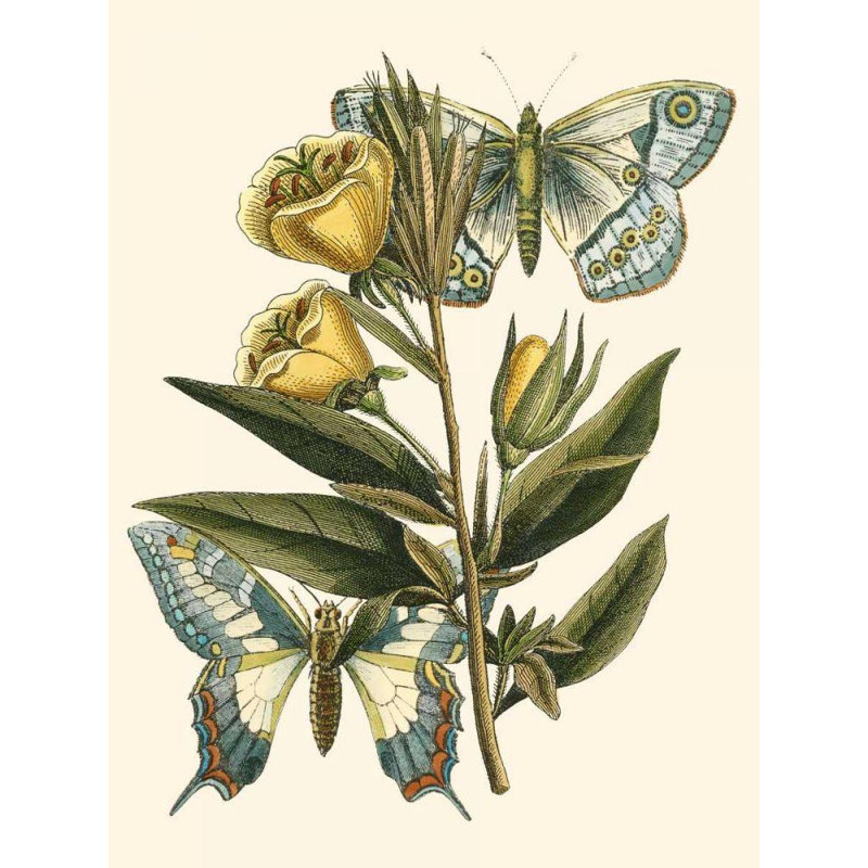 Art sur toile tendue par August Grove® Vision Studio, titre: Butterfly Oasis II, H 18 po x l 15 po