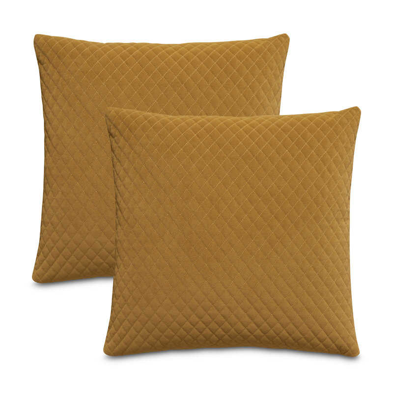Gemma Velvet Square Pillow Cover & Insert, Coin
