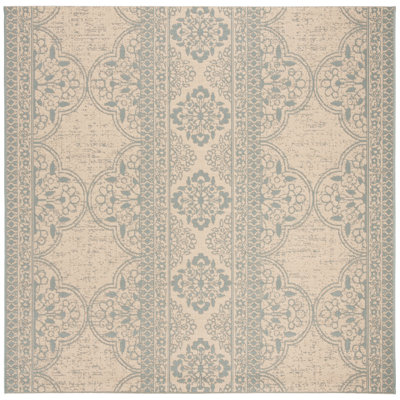 Danya Aqua/Cream Indoor/Outdoor Area Rug
