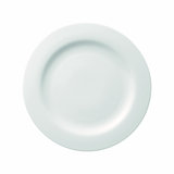 Moon Porcelain Dinner Plate