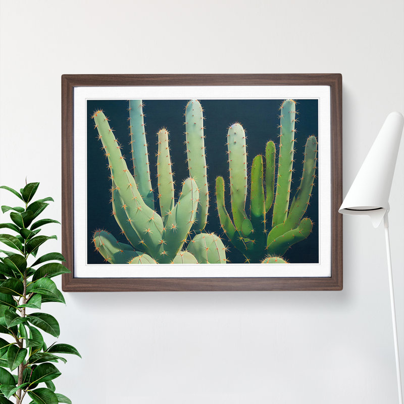 Enthralling Cactus - Single Picture Frame Painting, 46cm H x 64cm W x 2cm D, Walnut 