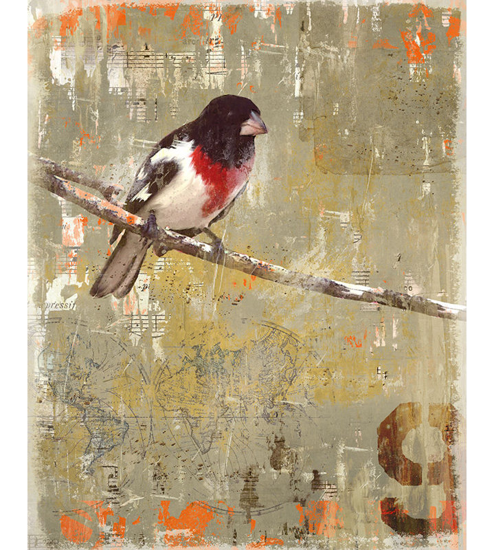 «Aves 9» par Zoey Riley - impression, H 50 po x l 40 po x P 1,5 po, Extérieur