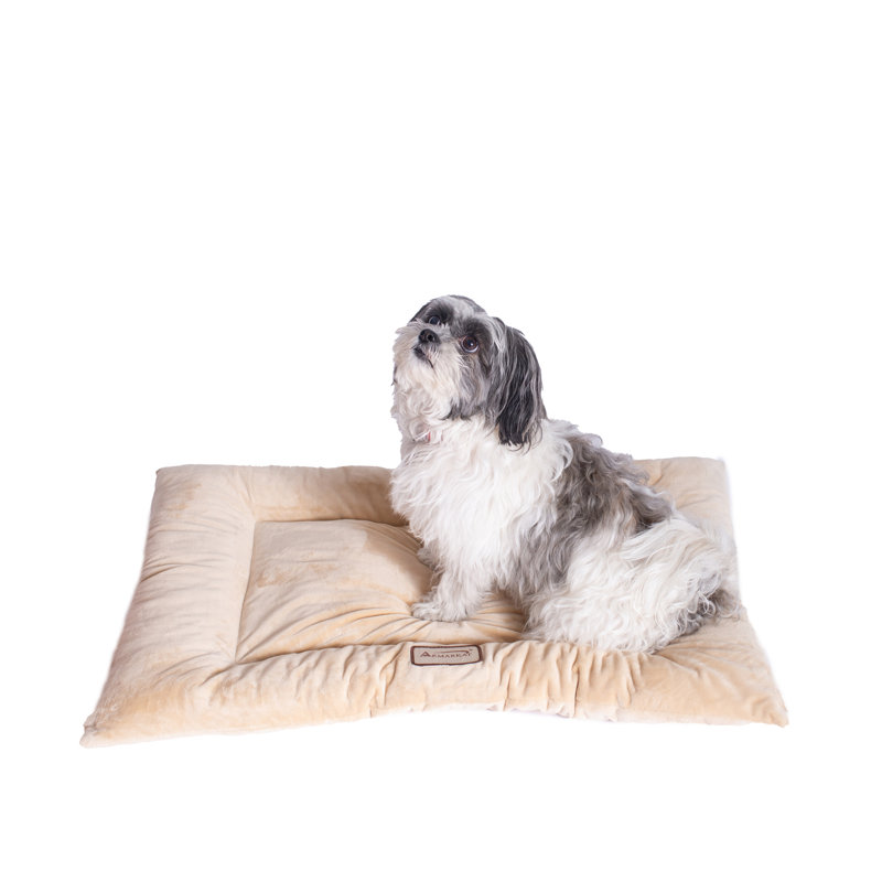 Tapis pour chien en velours doux, Beige, Moyen (l 27 po x P 19 po x H 2 po)