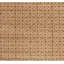 Wool Oriental Area Rug in Ivory