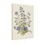 Plantes et fleurs fleurs bleues sur fond crème-235412996
