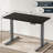 Electric Adjustable Height Standing Desk-2095498924-2095498939