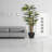 Panama 66" Artificial Scindapsus Aureus Tree in Planter