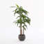 100cm Faux Dracaena Tree in Pot