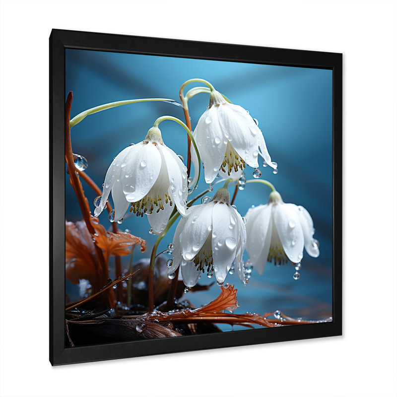 «Frost Snowdrop Flower Photo», reproduction d'art sur toile, H 16 po x l 16 po x P 1 po, Cadre simple noir