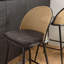 Ryne Counter Stool with Metal Frame