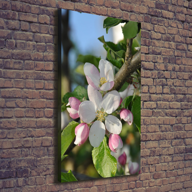 Cherry Blossoms - Wrapped Canvas Print