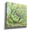 «Garden Succulents 4 Color» par Laura Marshall, art mural sur toile-1658700400