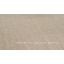 Padang Sidempuan Area Rug in Beige-1942245355
