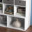 Large Kids Bookshelf With 7 Apartments Open Storage 