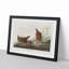 Blue Headed Pigeons by John Audubon - Picture Frame Painting Print-55544183-55544184