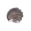 Conchiglia Glass Decorative Tray-293031478
