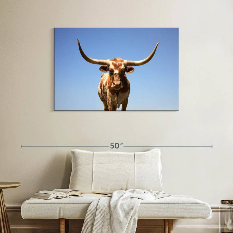 Longhorn Cattle Portrait, 26" H x 39" W