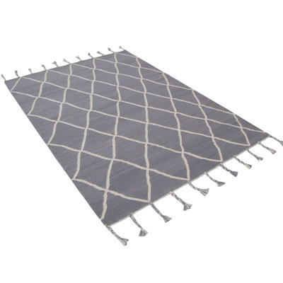 Trumbull Rectangle Geometric Hand Woven Kilim Area Rug
