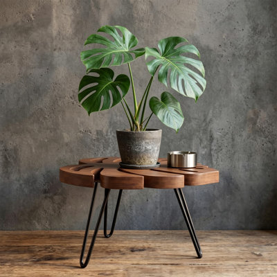 Support à plante Monstera