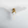 Erina 52'' Ceiling Fan with LED Lights