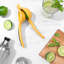 Presse-agrumes oxo Good Grips