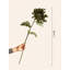 Tige de chrysanthème araignée ancienne – 29,9 po-1923013957-1923013953