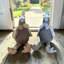 Fabric Chicken Decorative Doorstop - Hand Finished Animal Door Stopper, Stylish Fabric Home Door Holder & Practical Accessory