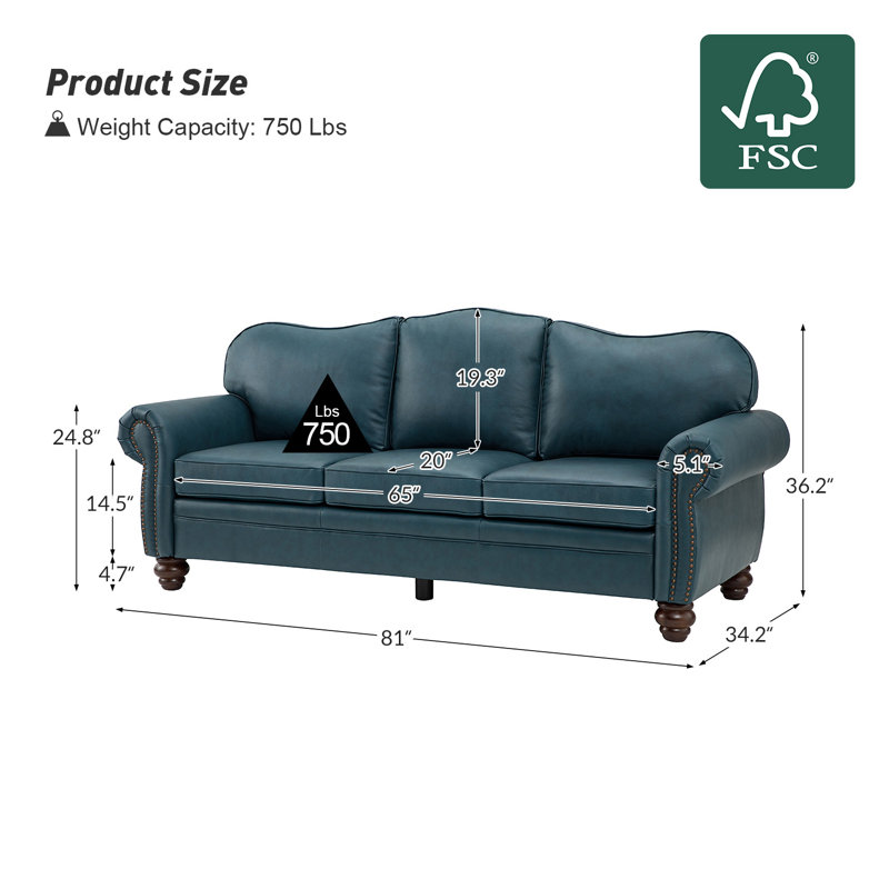 Eugene 81" Traditional Genuine Leather Sofa, Turquiose