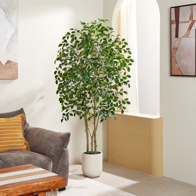 6ft Artificial Ficus Tree in Cream White Planter, Real-Touch Multi-Trunk Faux Banyan Plant