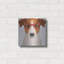 «Jack Russell Terrier portant des lunettes de hipster» par les affiliés Furbaby-476028089
