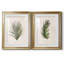 Palm Botanical I - ensemble de 2 impressions-1211584037-1280204983-1280204969