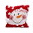 Embroidered Throw Pillow