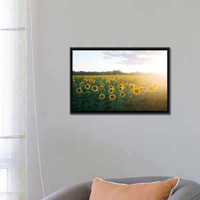 " Sunflower Field II " by Chelsea Victoria