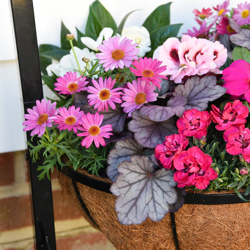 Keanan Metal Plant Pot