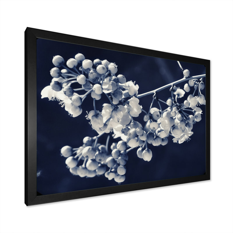 Wild Berries Blue Vintage Botanical I sur toile, H 30 po x l 40 po x P 1,5 po, Cadre simple noir