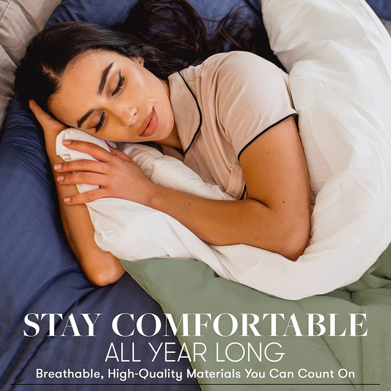 All Season Microfiber Down Alternative Comforter