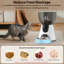 Mangeoire automatique pour chat 4L avec caméra