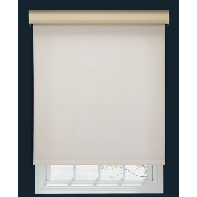 Store à enroulement rond sans fil 1% Linen Avenue, Coquille de mer, L 43,5 po x L 48 po